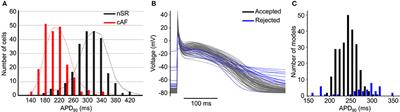 A Heart for Diversity: Simulating Variability in Cardiac Arrhythmia Research